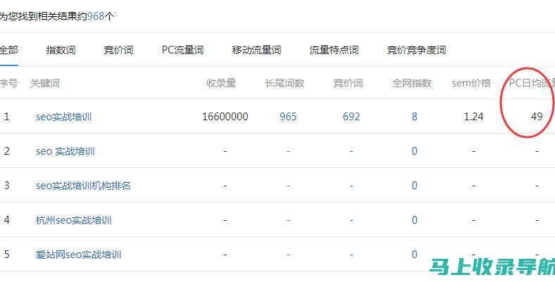 网络站长：定义、职责与角色解析